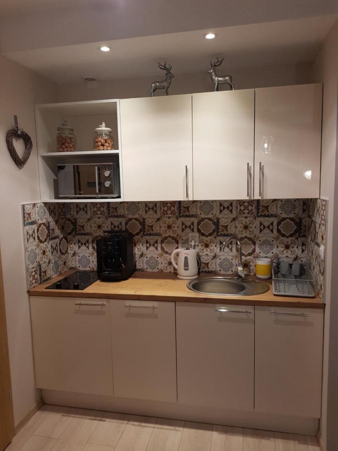 Apartament Gorzysty Blisko Elementsa- 5D Apartments Świeradów-Zdrój Dış mekan fotoğraf